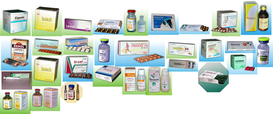 Mebeverine Pregnancy Category
